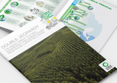 Double Jeopardy: Visualising false climate solutions