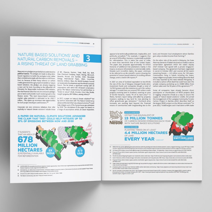 Double Jeopardy report for Friends of the Earth International