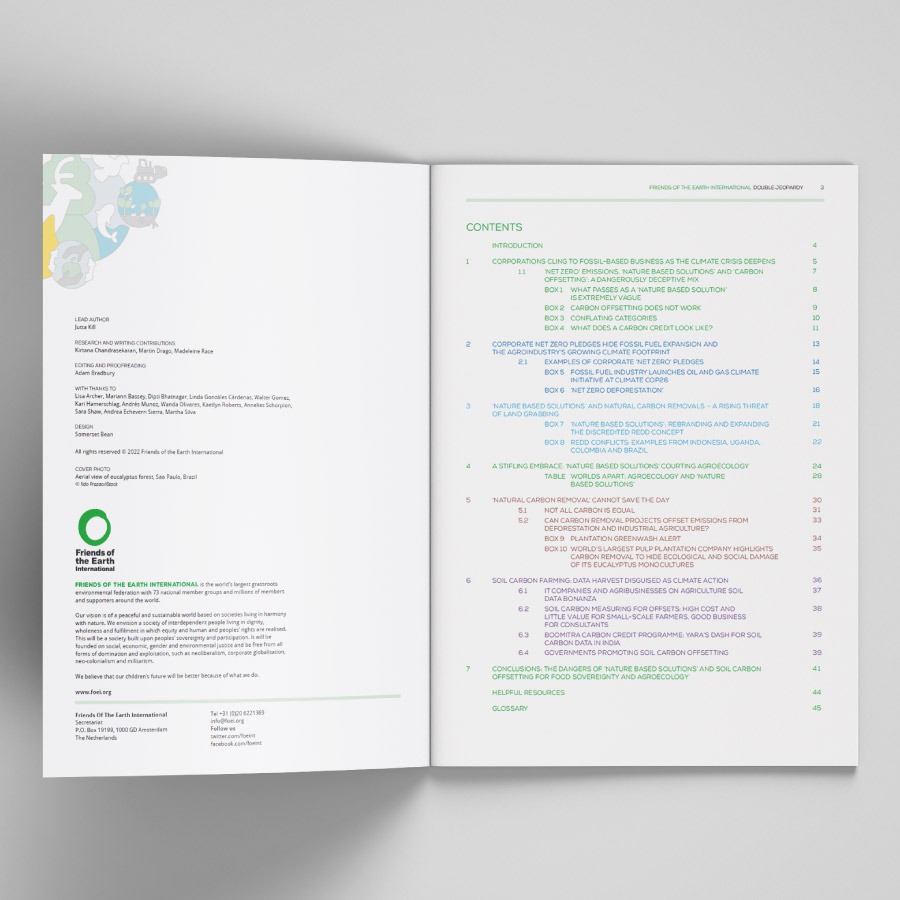 Double Jeopardy report for Friends of the Earth International