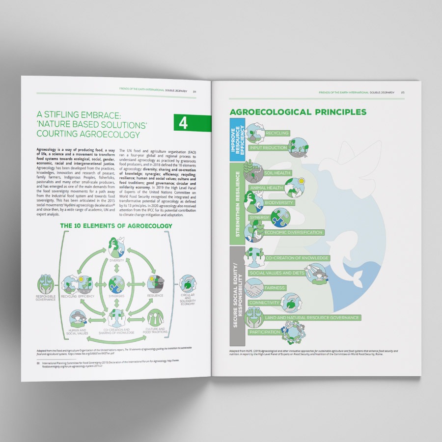 Double Jeopardy report for Friends of the Earth International