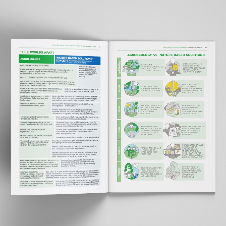 Double Jeopardy report for Friends of the Earth International