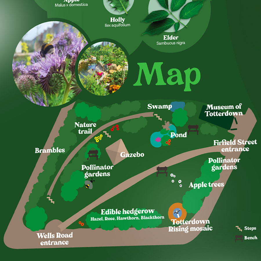 Illustrated site map on the Pollinator Project interpretation panel
