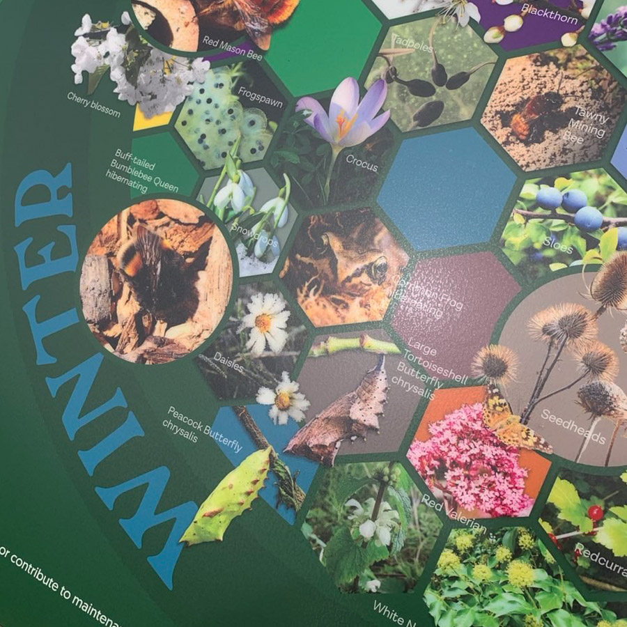 Winter wildlife illustrations from the Pollinator Project interpretation panel
