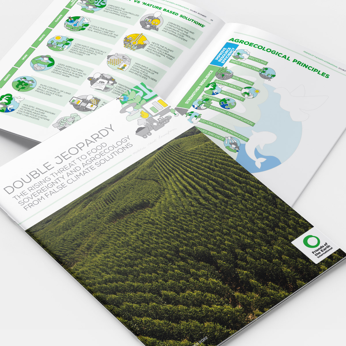 Cover of the Double Jeopardy report showing agricultural landscape imagery and illustrated graphics about false climate solutions.